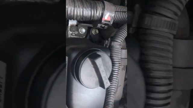 Стук Peugeot 107 1kr-fe на холодную смотреть онлайн