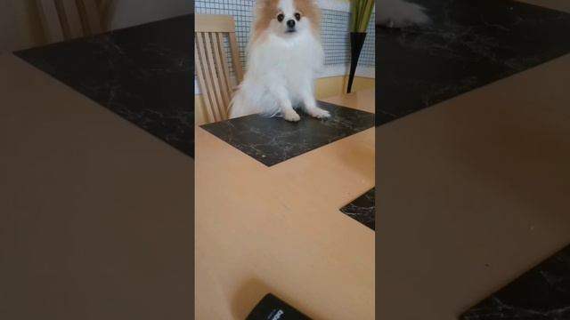 вкусный пирог смотреть онлайн