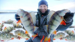 Поймали 40 килограммов ОКУНЕЙ и ЩУК! 5 дней на воде. Зимняя рыбалка с ночёвкой.
