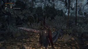 Bloodborne Ведьма Хенвика как найти