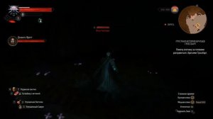 The Witcher 3 ПРОХОЖДЕНИЕ №58 ЗАДАНИЕ ГРУСТНАЯ ИСТОРИЯ БРАТЬЕВ ГРОССБАРТ
