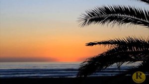 Forte dei Marmi - BEST WESTERN Raffaelli Park Hotel ( Форте дей Марми )