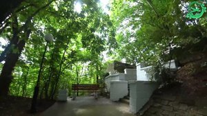 Сочи Терренкур Мацеста. Тропа здоровья. Дельфины!