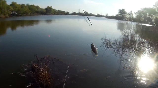 ВОТ ВАМ И ПЛАТНИК "ТРИ ПО ТРИ"!!! смотреть онлайн