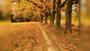 Христианская Песня Каждый Год она Приходит Неизменно  Група