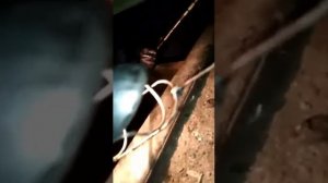 Снимали поддон на Камазе 5511