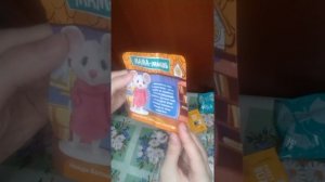 МЫШКИН ДОМ