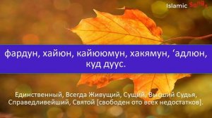 Эта дуа сделает тебя СИЛЬНЫМ, УСПЕХОМ И МИРНЫМ