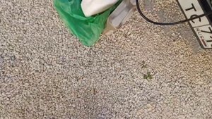 Экспресс замена масла на Кайрон 2.0