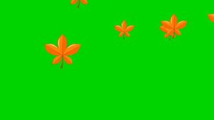 СКАЧАТЬ ФУТАЖИ НА ХРОМАКЕЕ БЕСПЛАТНО -ОСЕННИЕ ЛИСТЬЯ