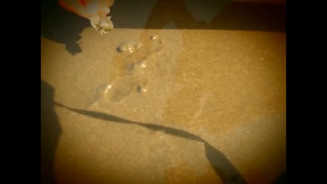 Путешествие в Индию. Гоа. Ольга Павличенко. смотреть онлайн