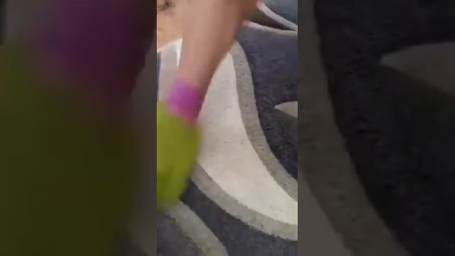 Если есть животные, как почистить ковёр от их шерсти. смотреть онлайн