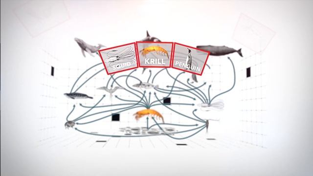 Krill and Its Place in the Antarctica Food Chain смотреть онлайн