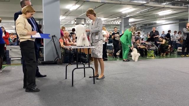 Моно Пудель, 02 апреля 23, Москва, судья Zeljko Gajic, часть 3 смотреть онлайн