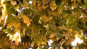 Осень Океан эльзы