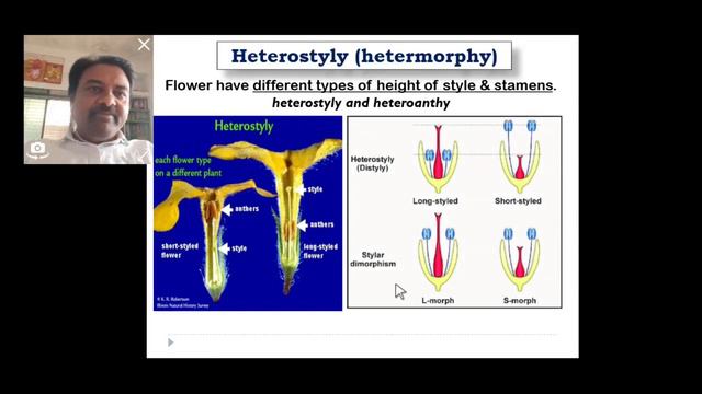 Reproduction in lower & higher plants. смотреть онлайн