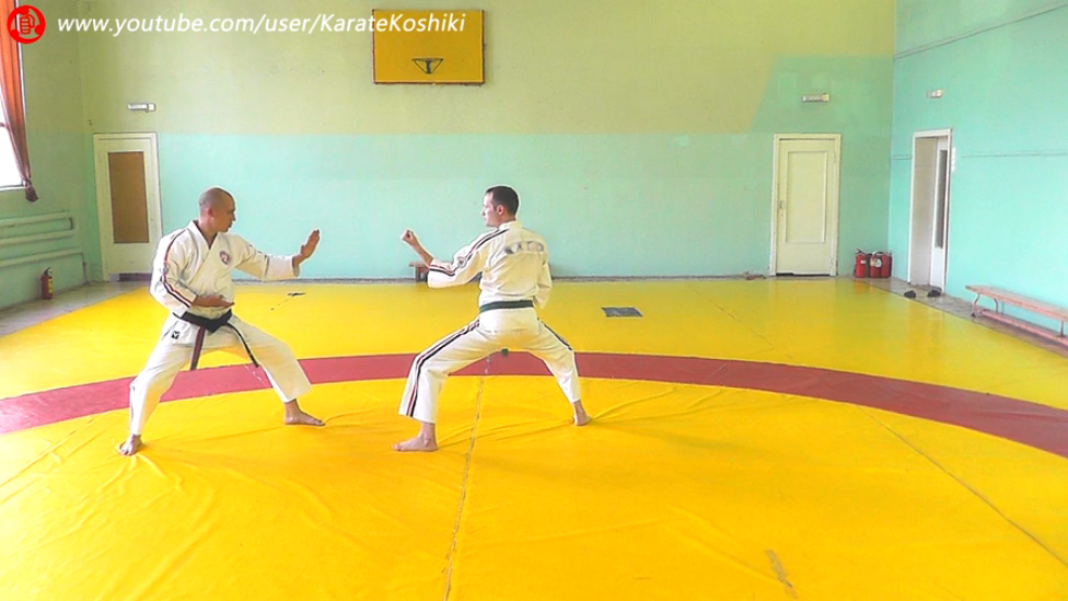 Принципы руками Те Ваза Гокё Кумите (Te Waza Gokyo Kumite) Первый принцип. Первая часть. Вид  сзади