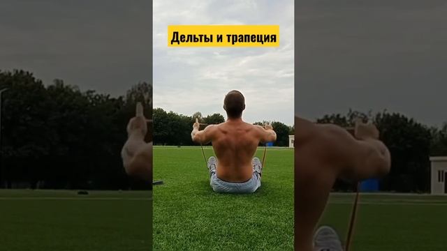 Резиновые петли. Упражнения на дельты и трапецию ✅