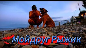 ▶️ МОЙ ДРУГ РЫЖИК - ДЖАН / ЯЛТА - 2024