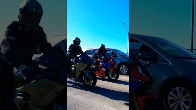 #kawasaki Ninja H2 vs Honda cbr1000RR R fireblade which one? смотреть онлайн