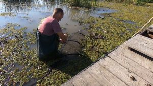 Астрахань Маково осень 2020 шикарная рыбалка в ДЕЛЬТЕ И НА ВЗМОРЬЕ