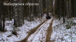 На болото за клюквой