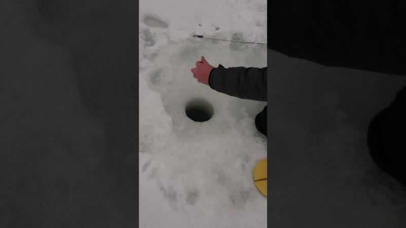 На пасту со дна