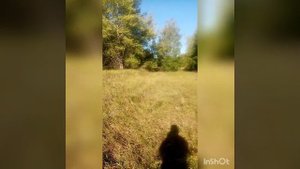 металлокоп с МД 4080