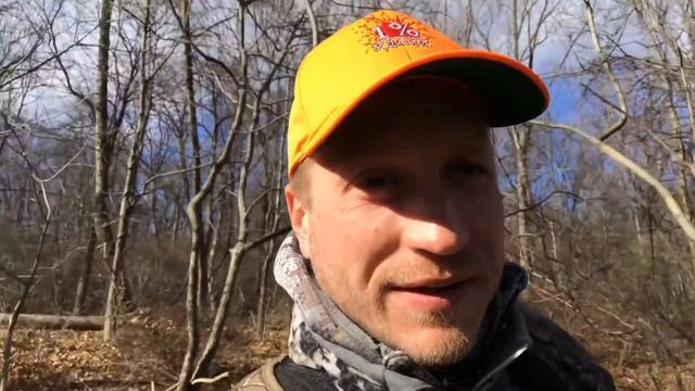 99% Неудачи. Медвежья услуга! смотреть онлайн