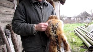 Как размять шкуру.