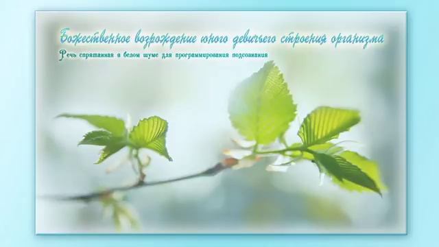 Возрождение юного девичьего строения организма. Программа для подсознательных сообщений. (Сытин) смотреть онлайн