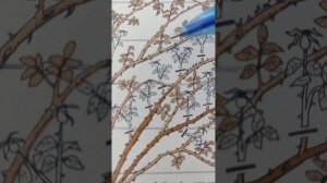 Обрезка плетистых роз: как правильно и зачем?