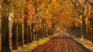 Hauser cello  . Autumn classic