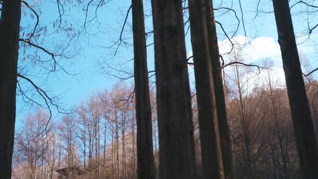 Climbing JangTae mountain | Jangan-ro, Seo-gu, Daejeon, Korea | 2020 53th week смотреть онлайн