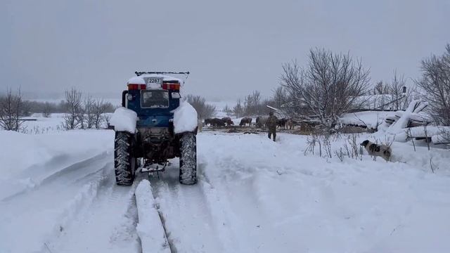 Будни фермера.Кормушка под фураж