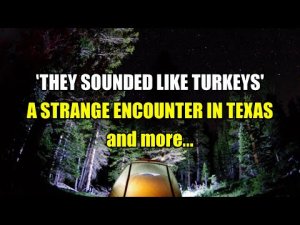 “They Sounded Like Turkeys, An Encounter in Texas and more” | Paranormal Stories