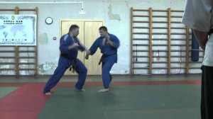 3 часть С семинар в школе СИН-ДЗЮЦУ КЭНПО КАЙ | 真術拳法会