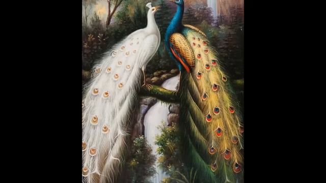 BREMN- Сусанна Айказ и Ростаме Шеко смотреть онлайн