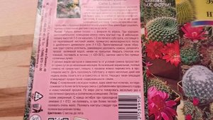 Как выросли кактусы из семян за 4 месяца