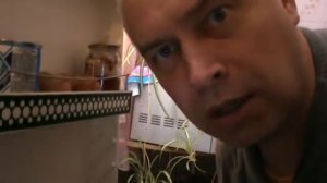 А я не понел чё вы делаете в моем холодильнике мем