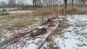 Обзор голубики....Укрытие, защита от птиц.Ошибки при выращивании. Ответы на комментарии