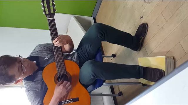 F.Sor Variations on 'Magic Flute' By Mozart смотреть онлайн