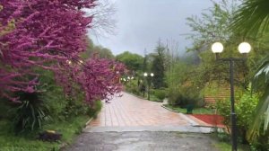 Радоновый источник , Абхазия,