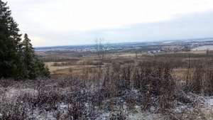 Опять пришли волки.Начался сезон охоты на волков.4 ноября 2022 г.