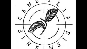 CAMELLIA SINENSIS - DEMO 2023