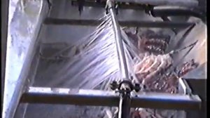 Слово о плавбазе Всеволод Сибирцев