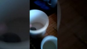 Как делать кристаллы из соли дома