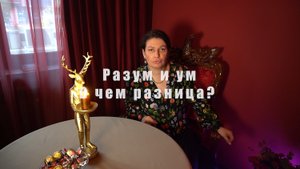 Разум и ум. В чем разница?
