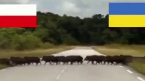 Вот так предпочитают воевать истинные укры.