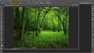 Как увеличить фото в фотошопе - WebDesignTV